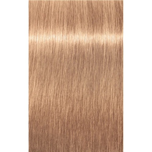 Tinte Permanente Igora Royal 10-49 Schwarzkopf Tinte Permanente Igora Royal 10-49 Schwarzkopf