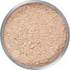 Polvos Traslúcidos TL 9 50gr Kryolan Polvos Traslúcidos TL 9 50gr Kryolan