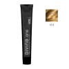 Tinte Permanente Divina One 12.0 100ml Eva Professional