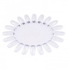Muestrario Rueda 20 uñas Transparente Molly Lac Muestrario Rueda 20 uñas Transparente Molly Lac