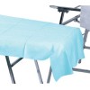 Cubre Camilla Azul 30gr 80x210cm 5ud LadyCel Cubre Camilla Azul 30gr 80x210cm 5ud LadyCel