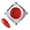 Artistic Gel Red 5ml Hema Free Molly Lac