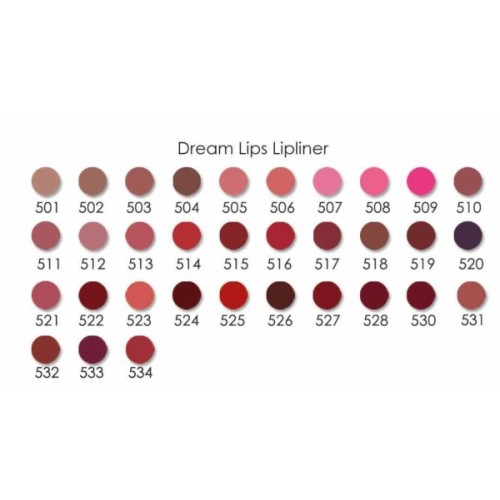 Lápiz de Labios Dreams Lips nº 531 Golden Rose Lápiz de Labios Dreams Lips nº 531 Golden Rose