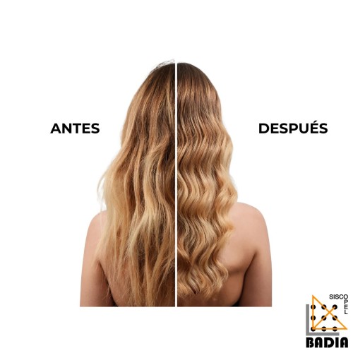 Champú Reparador Alfaparf Semi di Lino Reparative Low Shampoo de 1000ml Champú Reparador Alfaparf Semi di Lino Reparative Low Shampoo de 1000ml