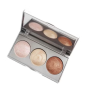 Strobing Highlighter Palette Golden Rosse