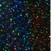 Foil Transfer Negro Glitter Holográfico MollyLac Foil Transfer Negro Glitter Holográfico MollyLac