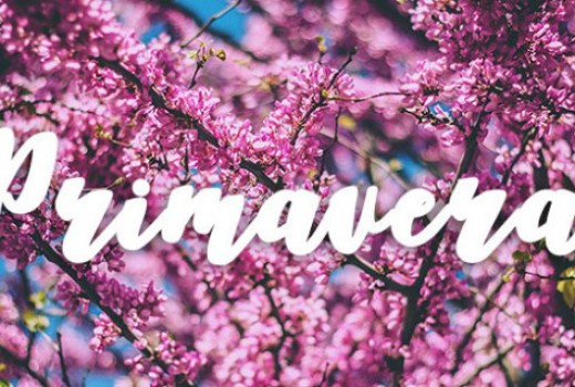 ¡Bienvenida Primavera!