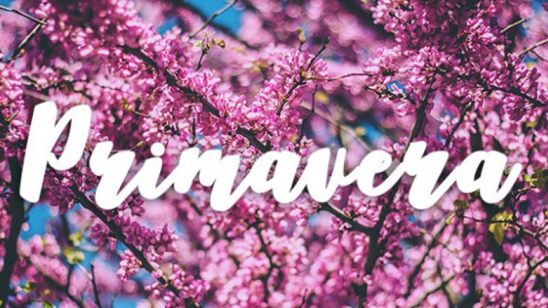 ¡Bienvenida Primavera!