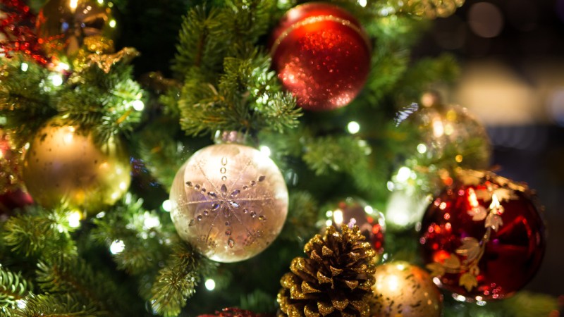 ¡Feliz Navidad!