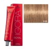 Tinte permanente Igora Royal 8-65 Rubio claro marron dorado Schwarzkopf
