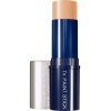 TV PAINT STICK FS61 KRYOLAN