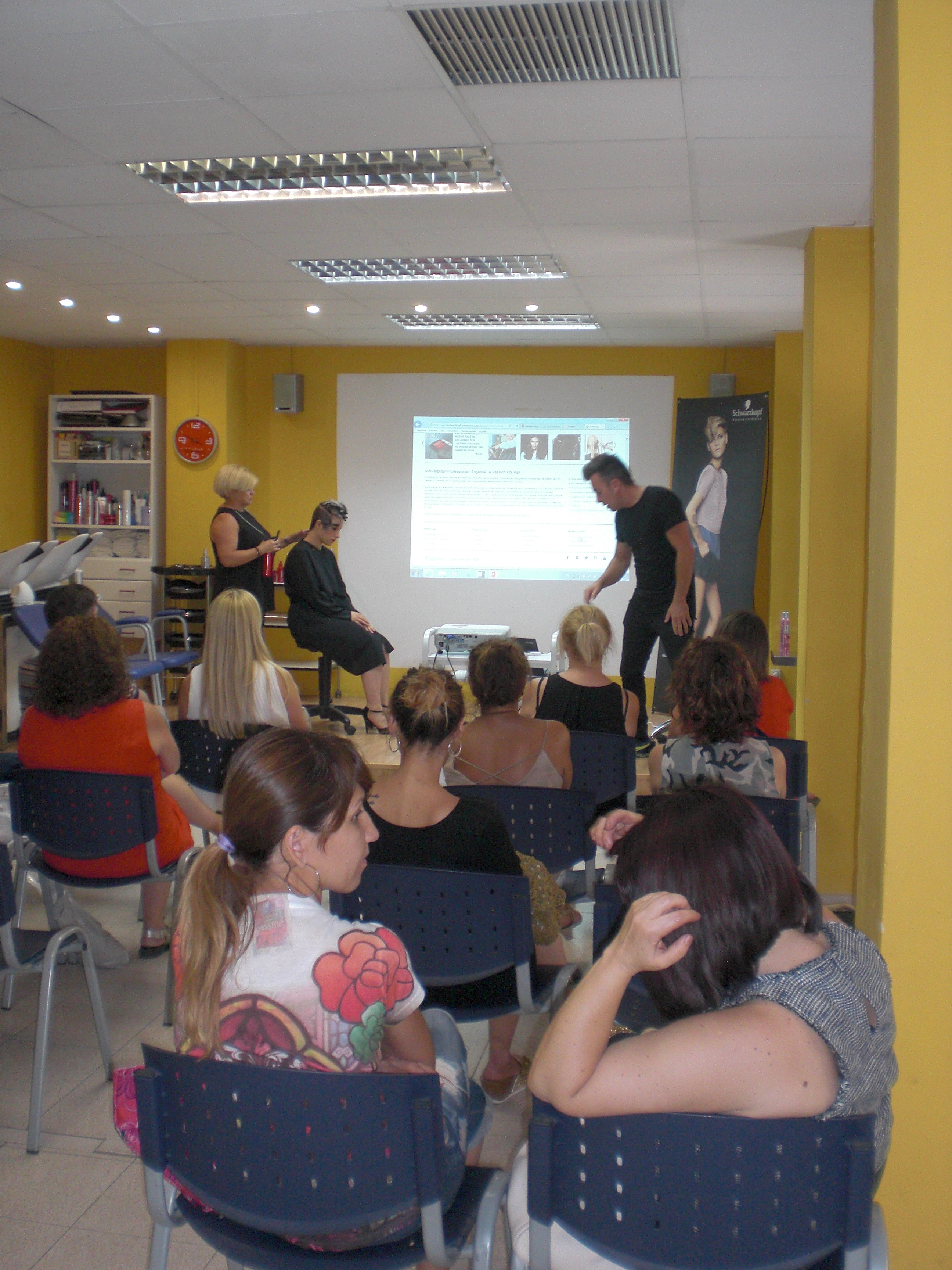 demo-peluqueria-siscopel